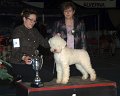beste pup_1